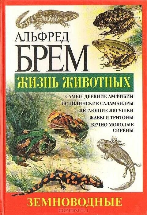 Жизнь животных том 5. Книга Брем жизнь животных.