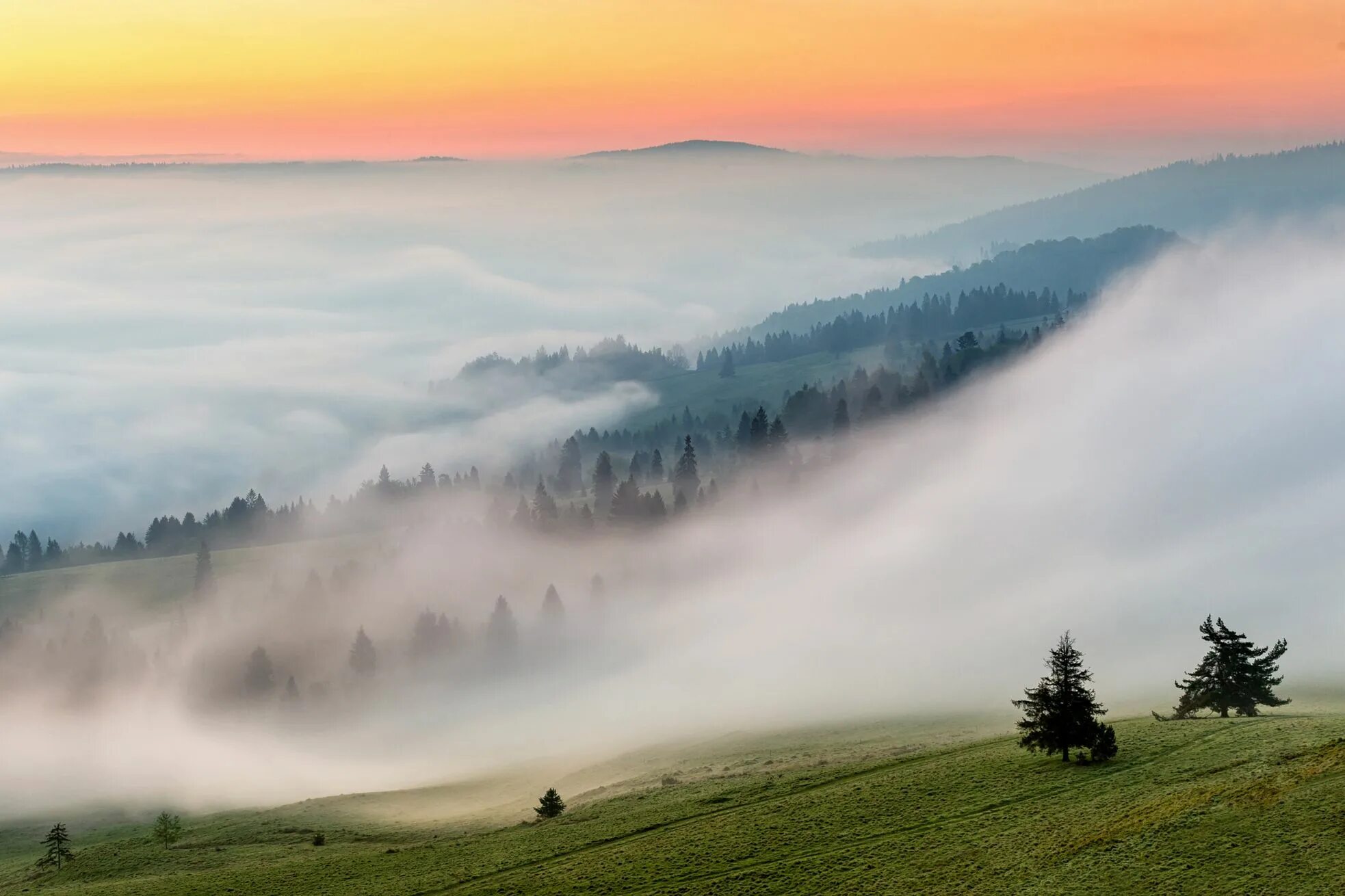Туман фото