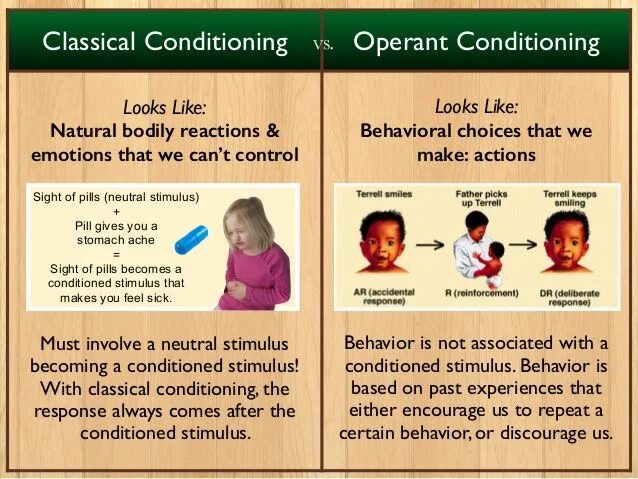 Classical conditioning. Operant conditioning. classical and operant conditioning. operant behavior. behavioral response.