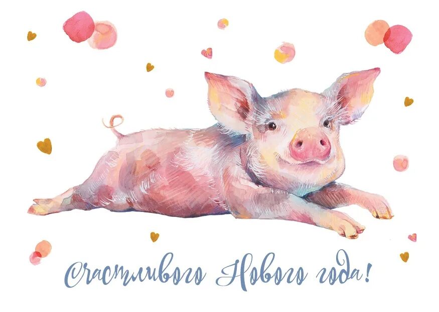 Днем рождения свинка. Открытка с поросенком. Поросенок поздравляет. С днем рождения свинья. Поросенок акварелью.