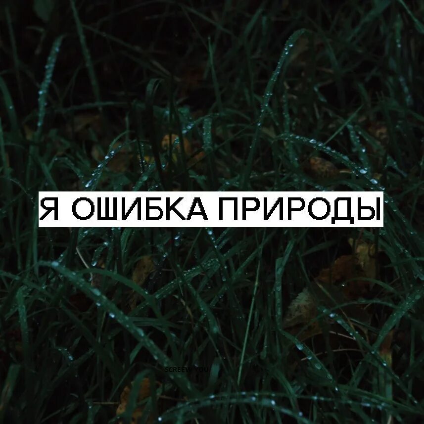Более больше ошибка. Ошибка природы. ты ошибка природы. я ошибка. сбой в природе.