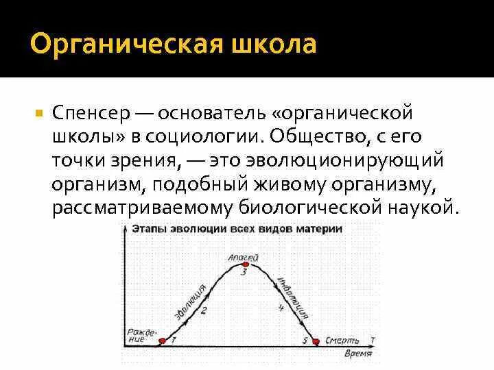П. Бутлеров в университете. Органическая школа автор. Теории происхождения государства. Положения органической теории спенсера.