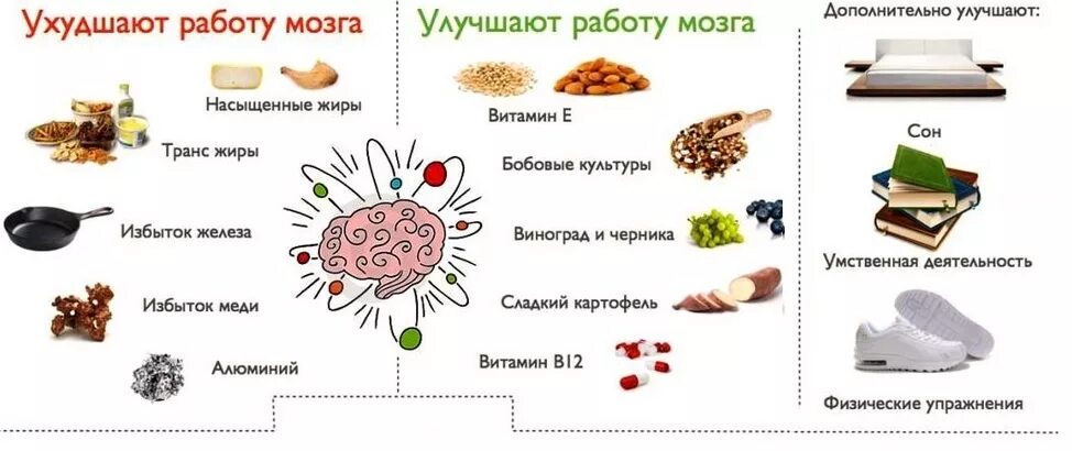 Какие продукты улучшают мозг. Что есть для улучшения памяти и работы мозга. продукты улучшающие память и мозговую активность взрослым. продукты для улучшения памяти и работы мозга. народные средства для памяти головного мозга.