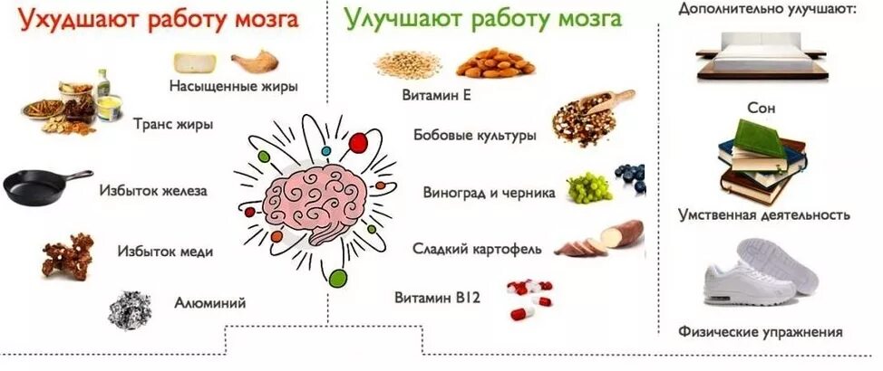 Что есть для улучшения памяти и работы мозга. Продукты для мозговой активности и памяти. Продукты для улучшения памяти. Продукты для улучшения памяти и работы мозга. Улучшение работы головного мозга и памяти