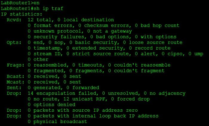 Список команд выводимых на экран. Интерфейс вывода. Show interfaces Cisco. Выводов команды qstat. Show interfaces GIGABITETHERNET.