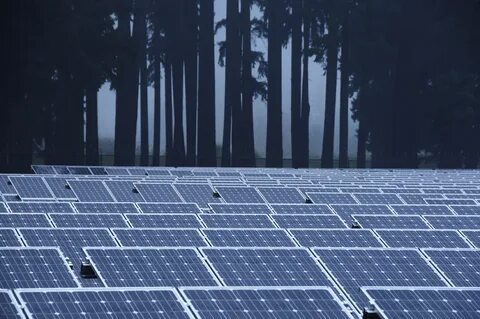 Solar win