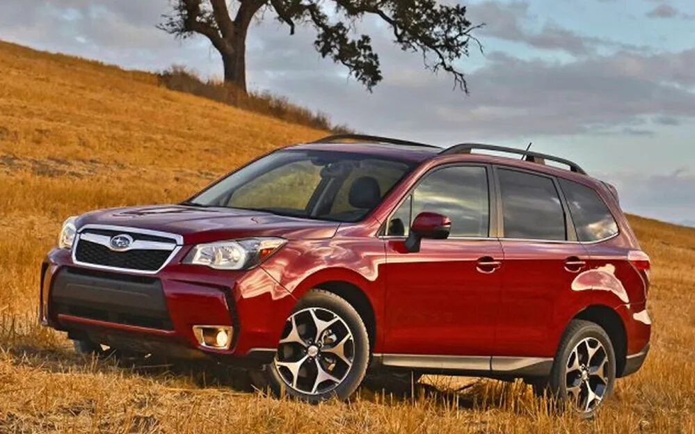 Subaru Forester SJ 2014. Subaru Forester 4. Subaru Forester 4 SJ. Subaru Forester 2016. Куплю форестер 2014 года