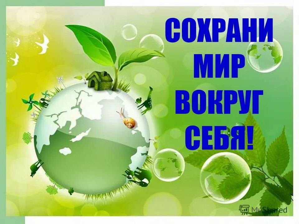 Школьнику про экологию. Берегите природу. Экологические лозунги. Сбережем природу. Лозунги по экологии.