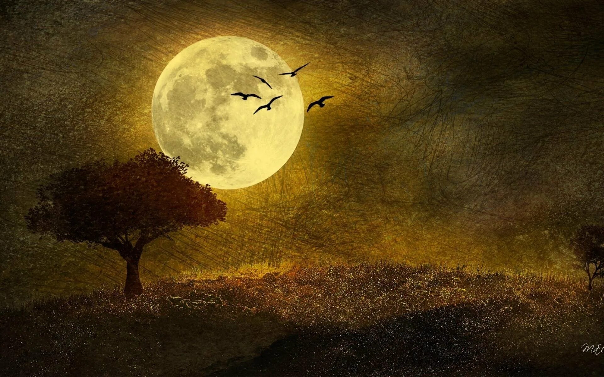 Картина темная луна. Лунный пейзаж. Лунная ночь. Луна фон. Ночной пейзаж с луной.