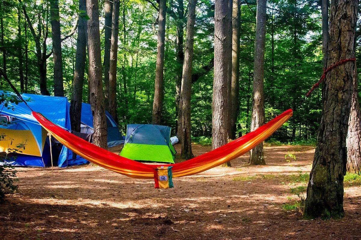 Find a camp. Hammock Camping. Hammock 38. Active Hammock Garden or Camping. Hammock Camping Florida.