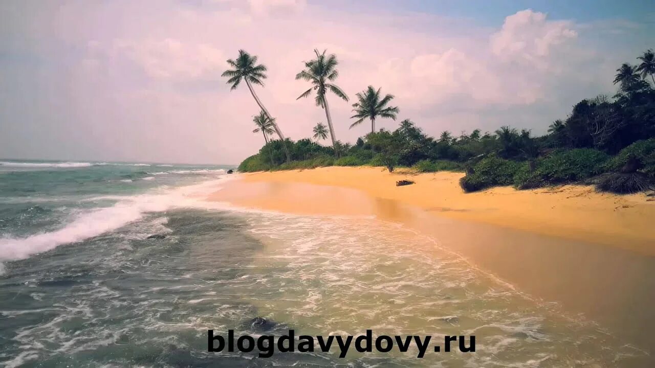 Шри ланка видео обзор. Таларамба шри ланка. таларамба пляж. шри ланка в феврале 2025. шри ланке внутренний покров растительность.