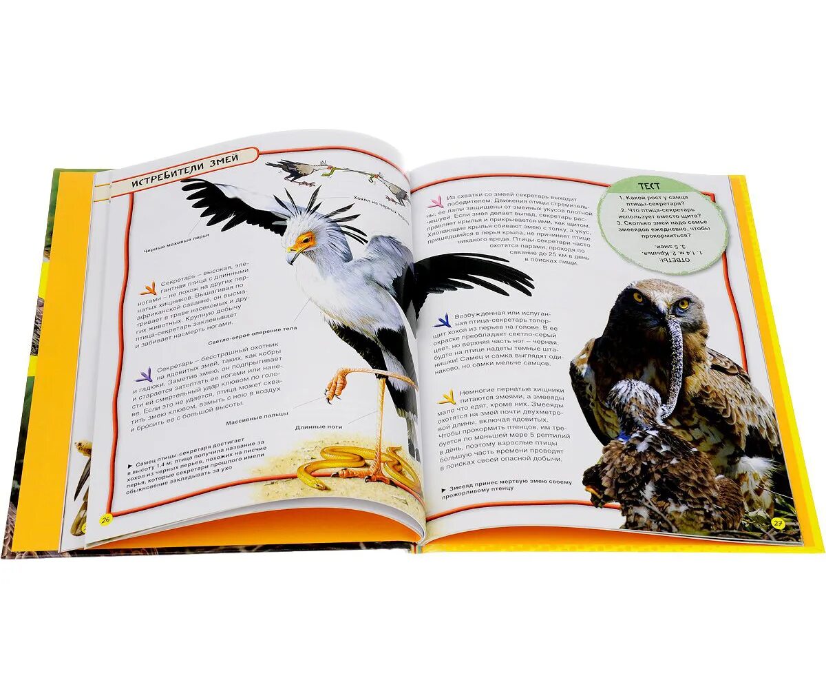 Художник kim norlien утки. Сказания о пойманной птицы хср. Сказания о пойманной птицы хср. Артикуно запдос и молтрес. Сказания о пойманной птицы хср.