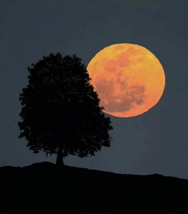 Есть одинокая луна. Луна одиночество. Одинокая Луна. Огромная Луна при свете. Одинокая Луна фото.