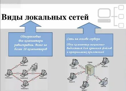 Виды сетей их особенности