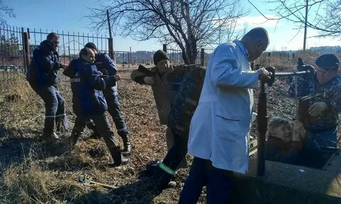 Николаевская область новости сегодня последние