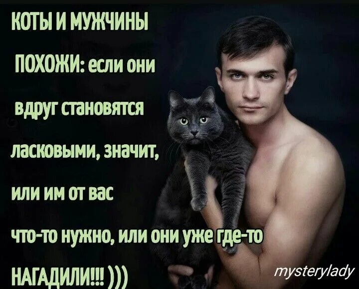 Гороскоп мужчины кота. Мужчины и коты. Коты и мужчины похожи. Мужчина с котом. Коты и мужики похожи.