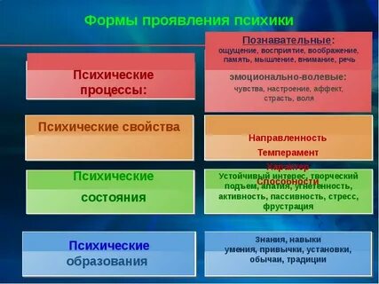 Формы проявления психики процессы