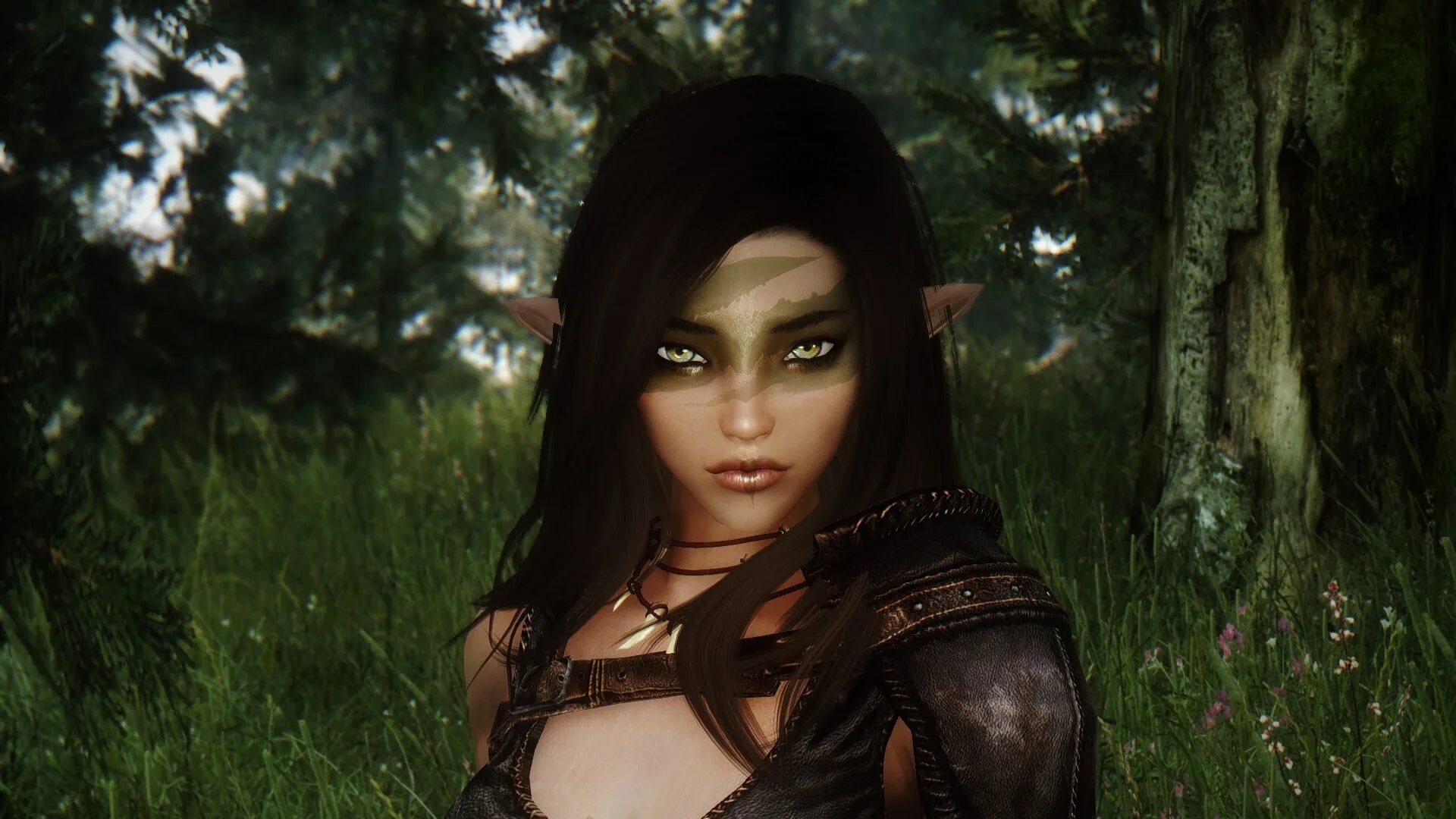 Skyrim мод пресеты. Кинара джейд skyrim. пресет лелианы скайрим. пресеты скайрим женские. skyrim pandorable.
