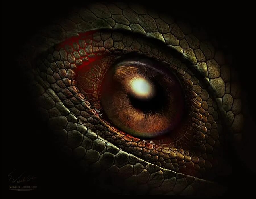 Dragon eye перевод. Глаза дракона (Dragon Eyes). Драконий глаз дракон. Глаза для драконов.