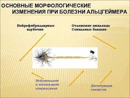 Больной морфологический