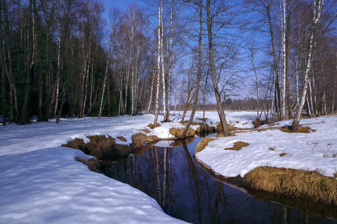 Весенний пейзаж. Весенняя природа.