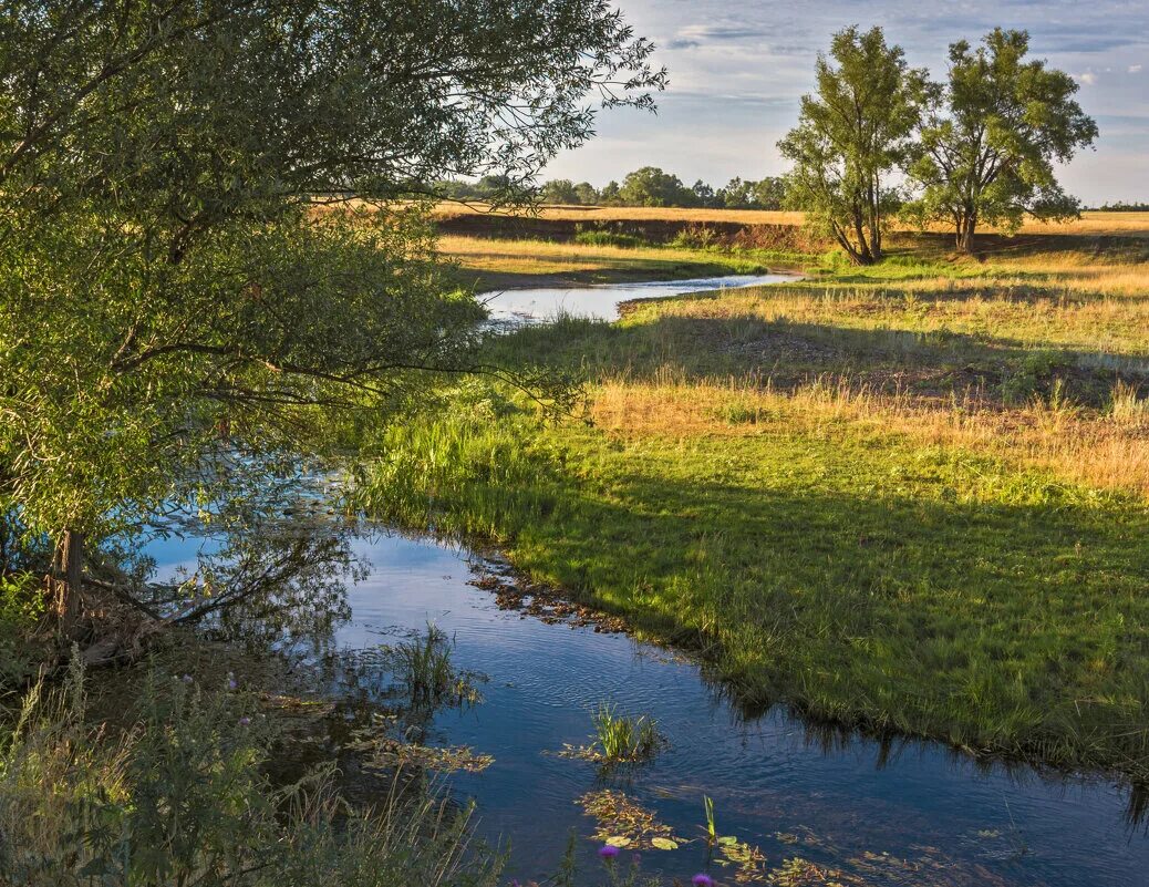 реки россии. малые реки. река веля дмитровский район. малые реки средние реки. мелководные реки россии.