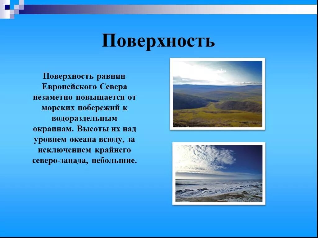 Проект по северу европейской части России. Презентация по северу европейской части России. Сообщение по северу европейских части Росси.