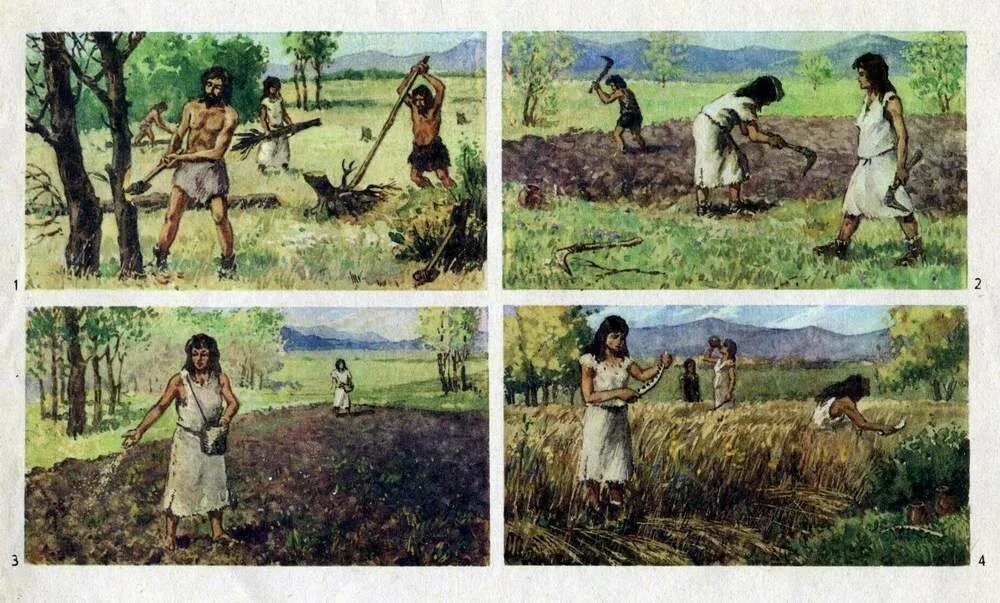 Пашенное земледелие у восточных славян. Сельское хозяйство. Плужное земледелие в европе. Земледелие скотоводство киевской руси. Земледелие и скотоводство древних людей.