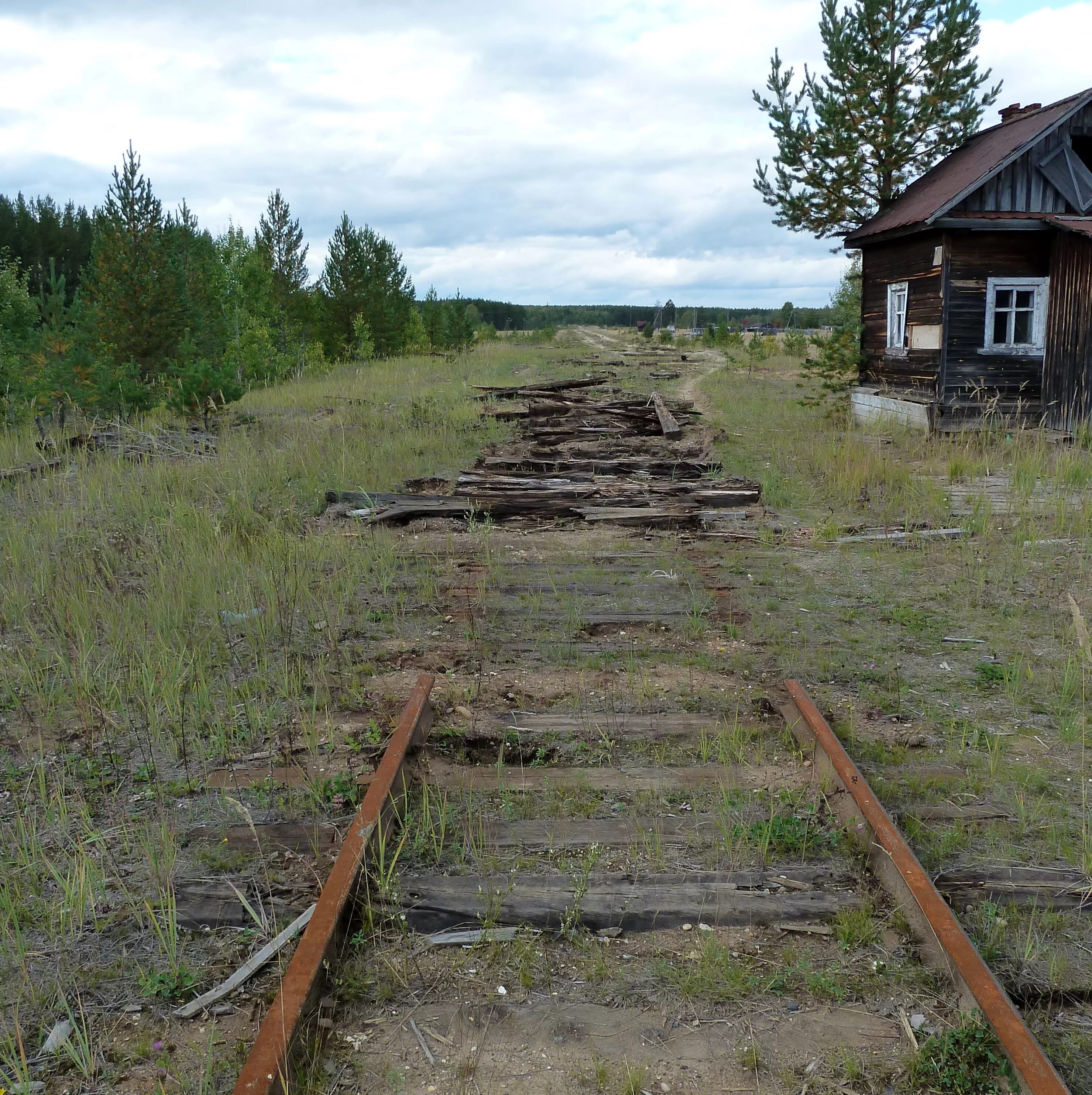 Железная дорога в деревне. Станция Парманка. Коми тракт узкоколейная железная дорога. Республика Коми поселок Боровой. Станция талый Республика Коми.