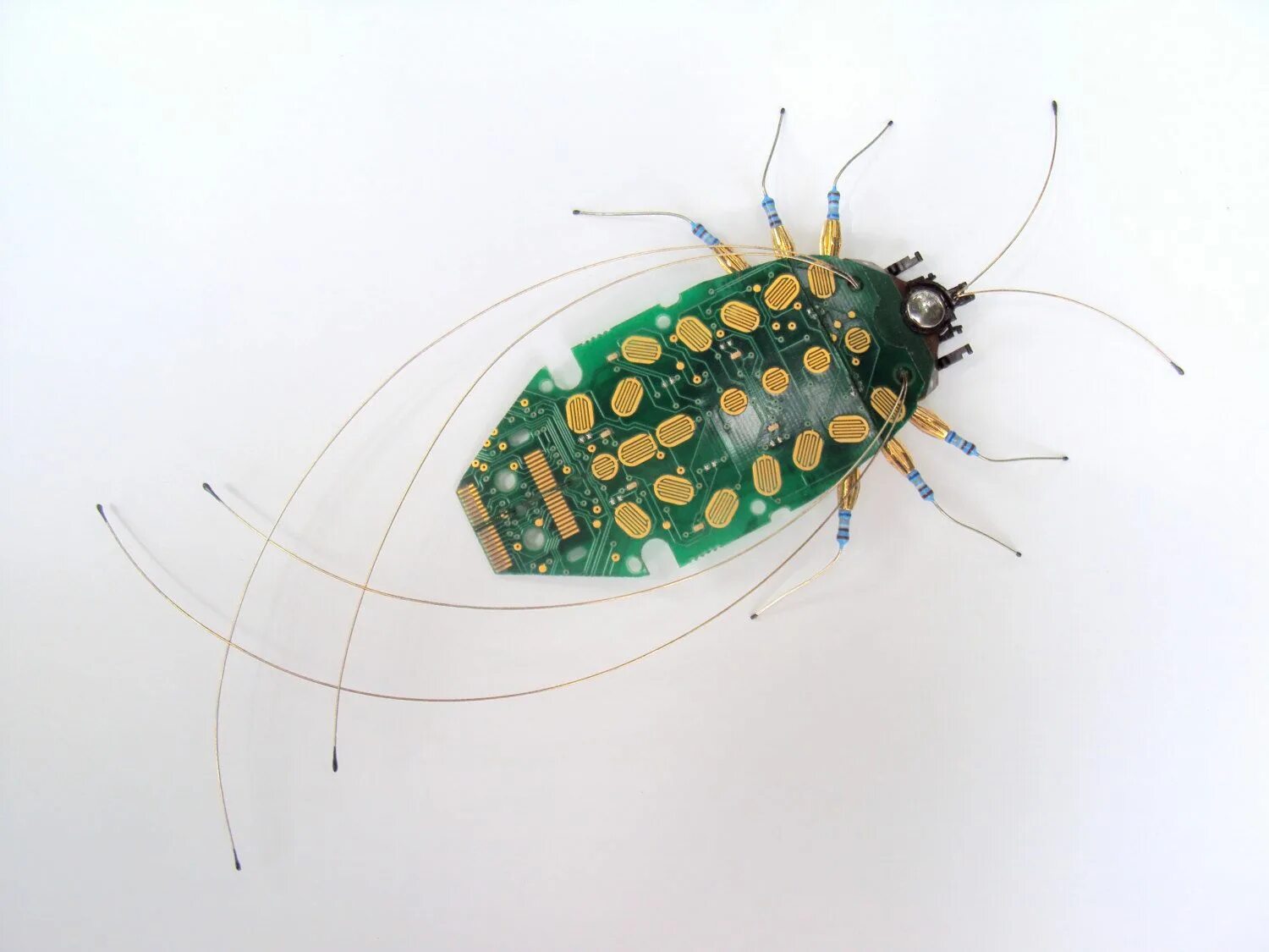Make a bug