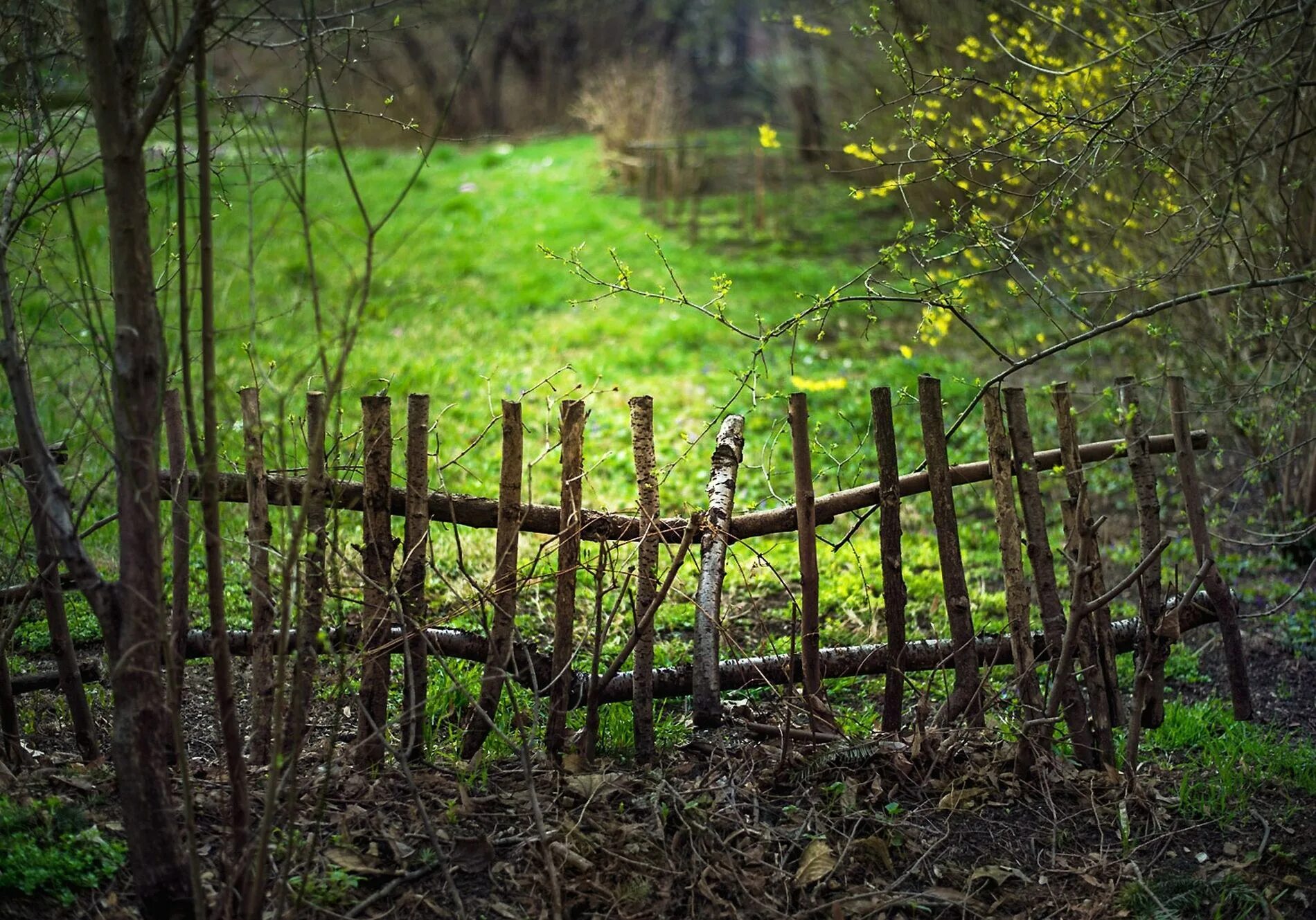 Старый забор. Деревенский забор. Забор в деревенском стиле. Старинный забор. Старый забор купить