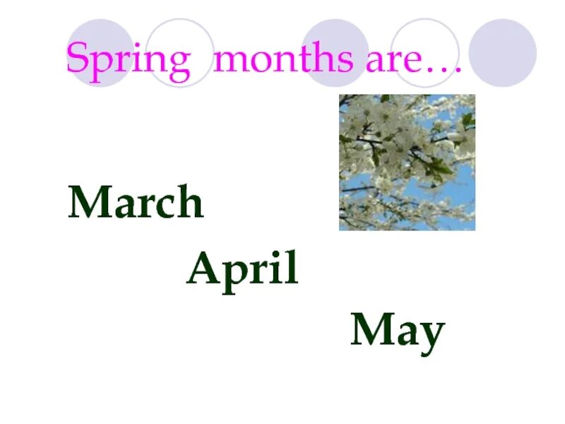May is spring month. Seasons and months презентация на английском. months презентация. spring месяцы. march april may.