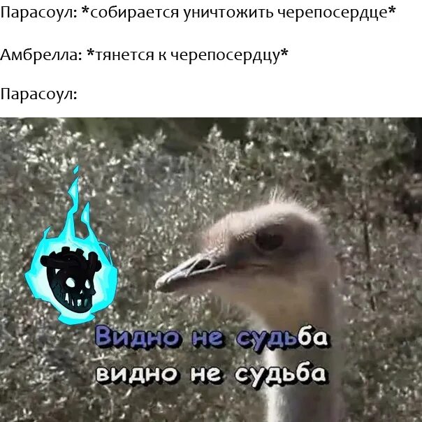 Песня видно не судьба видно нет любви. Видно не судьба. видно не судьба страус. видно не судьба видно не судьба. видно не судьба мем.