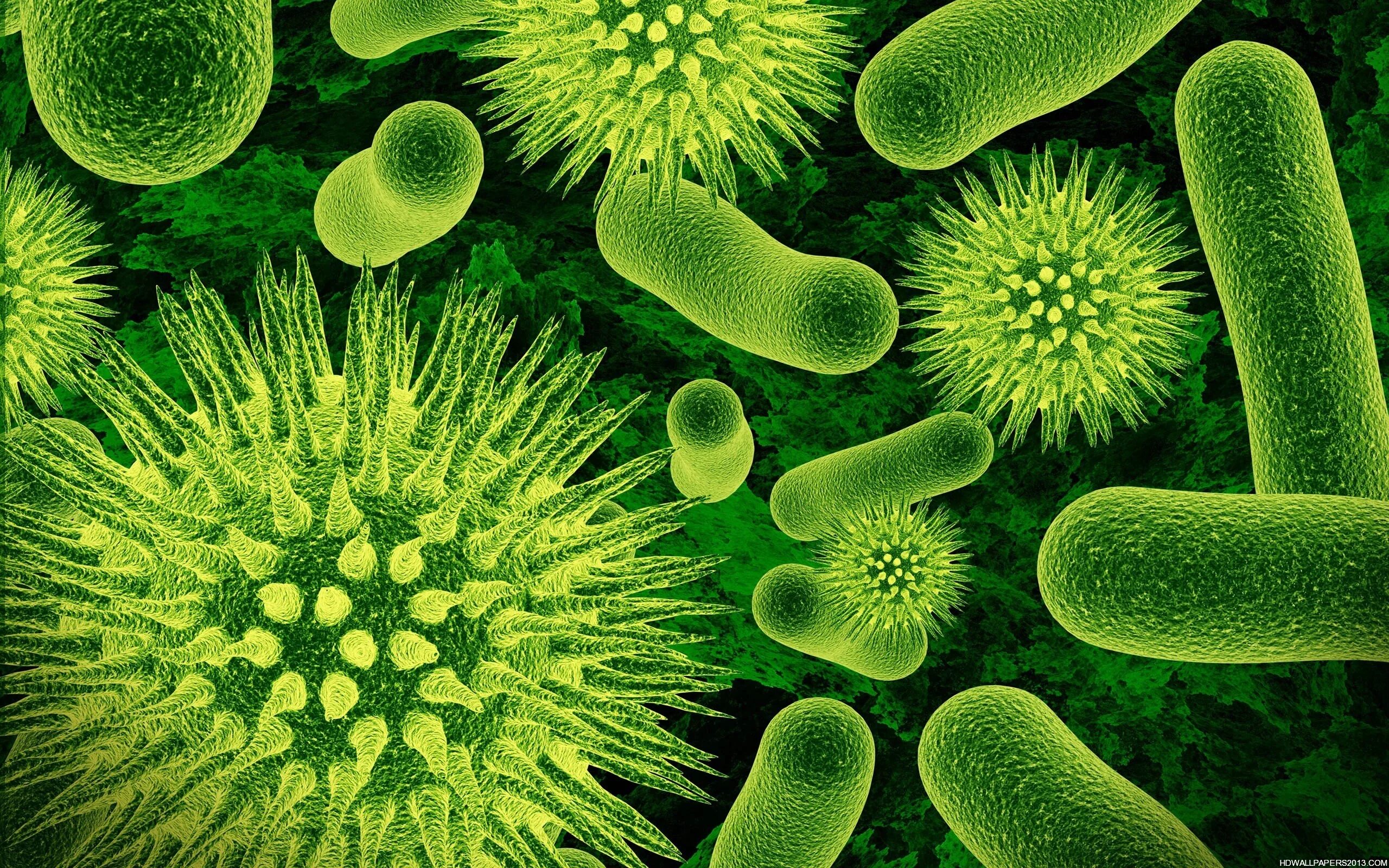 Первые живые организмы использовали. Бактерии одноклеточные организмы. Бактерии аэробы. Зеленые бактерии. Вирусы и микробы.