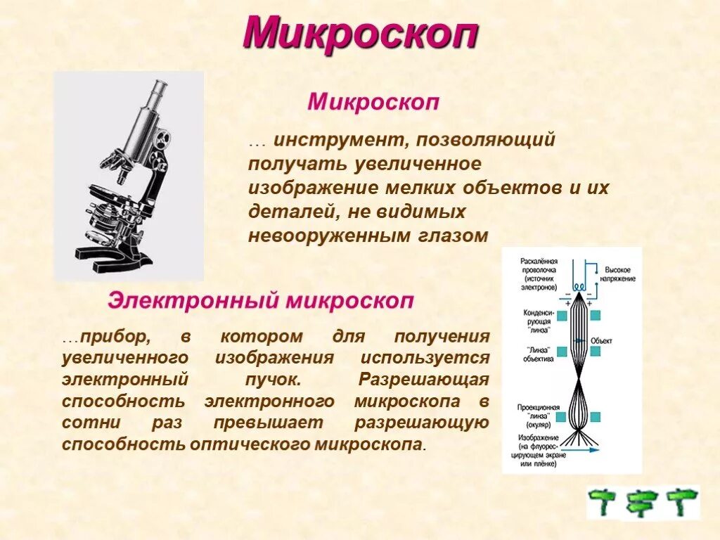 Во сколько раз увеличивает объектив микроскопа. Устройство электронного микроскопа 5 класс. Строение электронного микроскопа. Оптический микроскоп строение. Электронная микроскопия приборы.