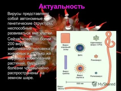 Вирусы представляют