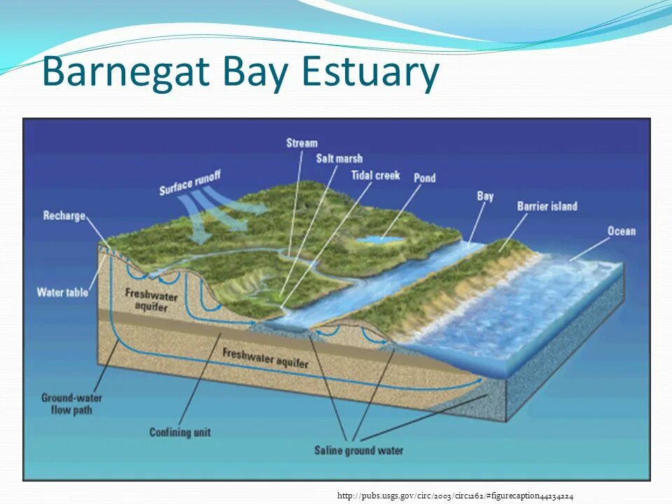 Water ground. Grounded вода. diagram of the groundwater system. water protection zones. underground water flow.