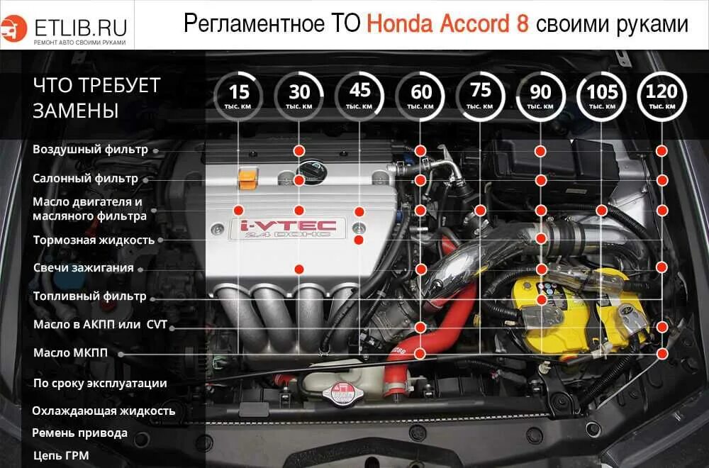 Регламент технического обслуживания Хонда Аккорд 8. Хонда Аккорд 8 регламент то. Honda Accord 7 регламент то. Регламент обслуживания Хонда Аккорд 8. Хонда расход масла