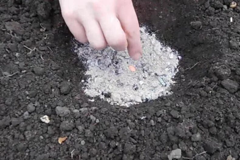 Можно ли добавлять золу при посадке. Зола. Зола в лунке. Зола для почвы. Известкование почвы осенью негашеной.