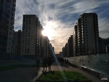 Мурино ленинградская бульвар менделеева