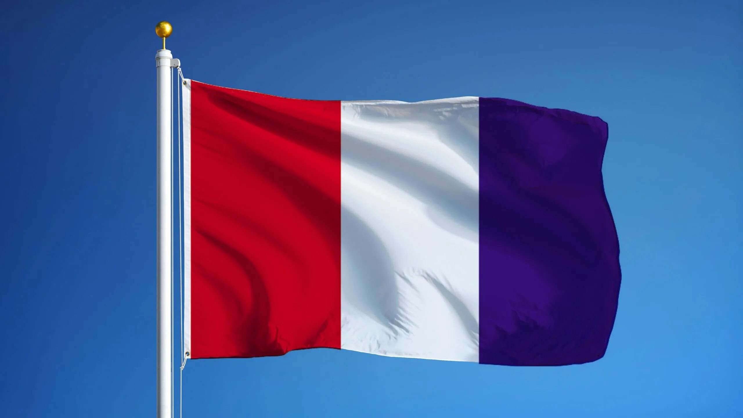 Флаг Парижа. Флаг Франции 20 века. Фран флаг французский. Француз с флагом.