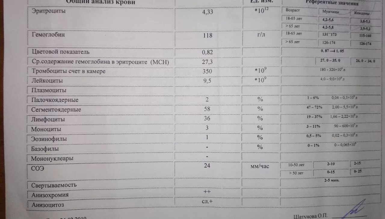 Лейкоцитоз анализ крови показатели. Общий анализ крови лейкоциты норма. Общий анализ крови с лей. Общий анализ крови свертываемость. Общий анализ крови соэ повышен