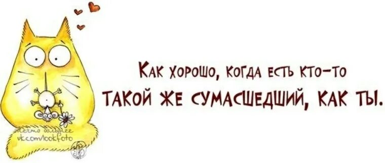 Сумасшедшие друзья цитаты. Статус про сумасшедший день. Смешные фразы про СУМАСШЕДШИХ. Ты сумасшедший.