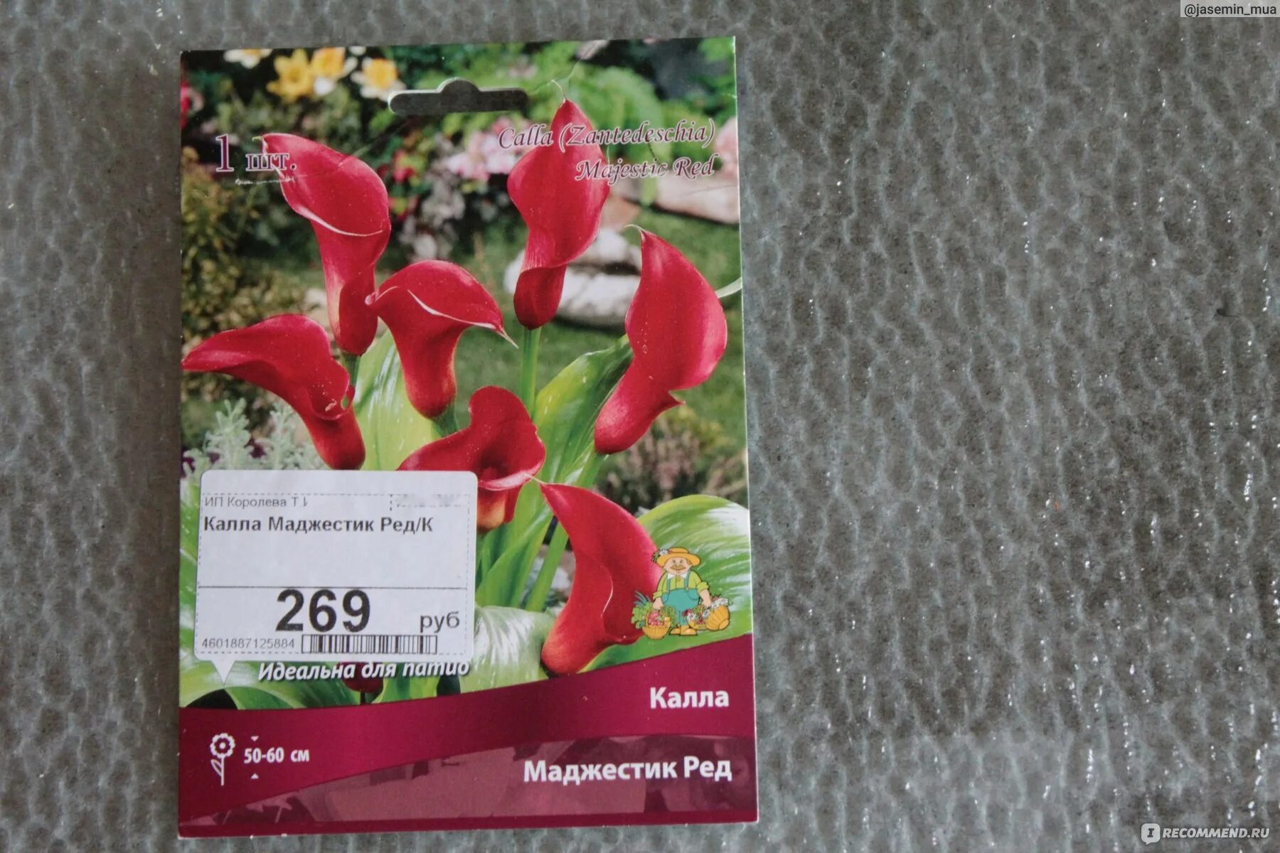 Удобрение для каллы