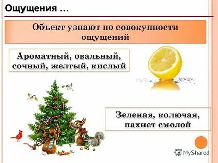 Как найти па