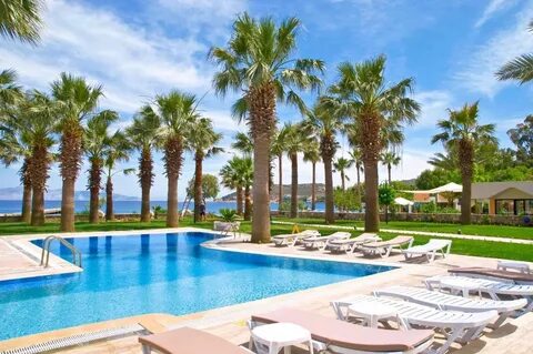 Hotel tripadvisor