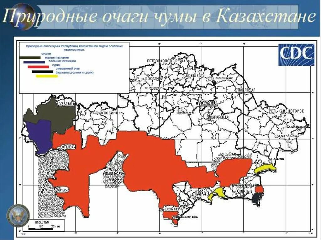 Чума в казахстане