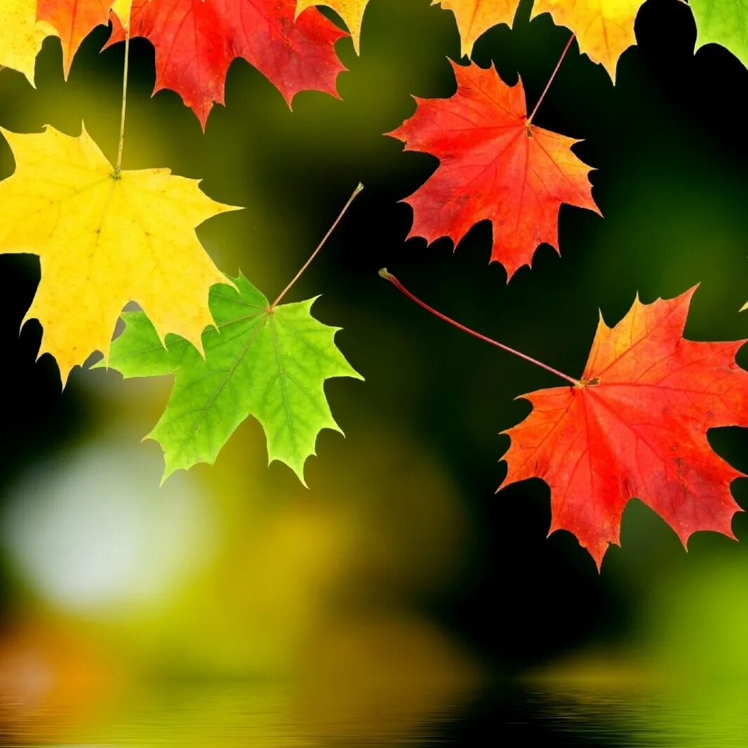 Август природа. Теплых лет. Трава на рассвете. И осень может быть теплее лета. Прощаемся с летом.