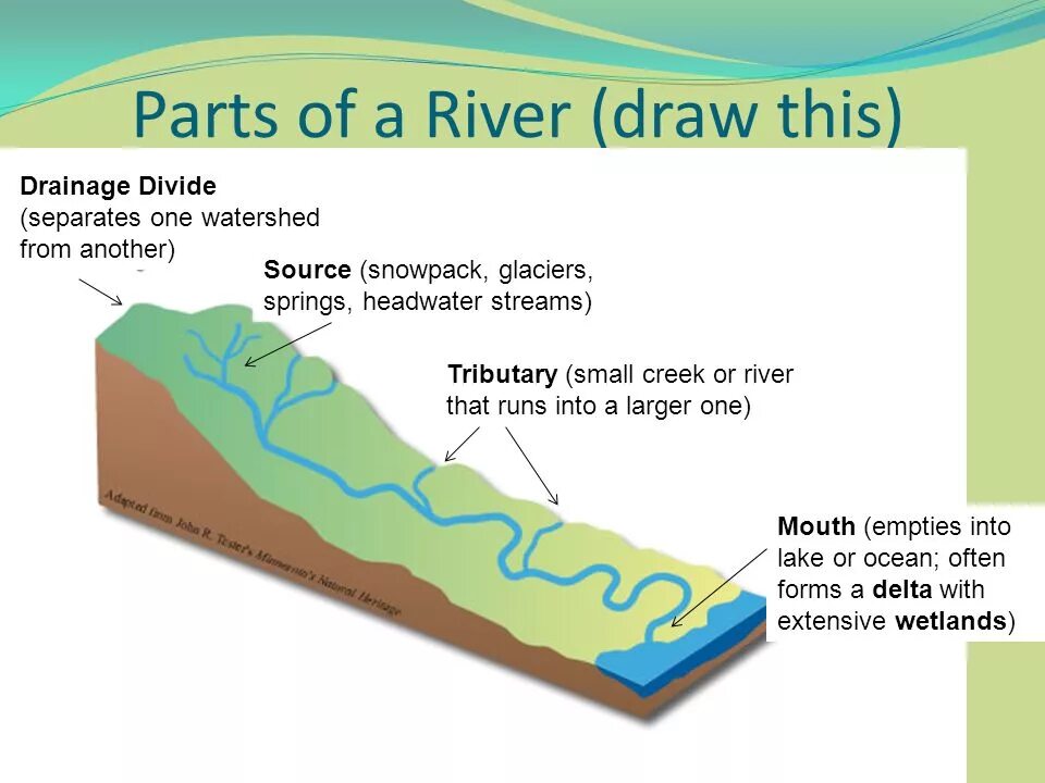 Parts of the River. River structure. River Parts in English. Rivers примеры. Река перевести на английский