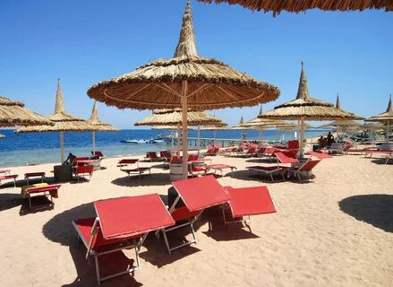 Domina harem hotel